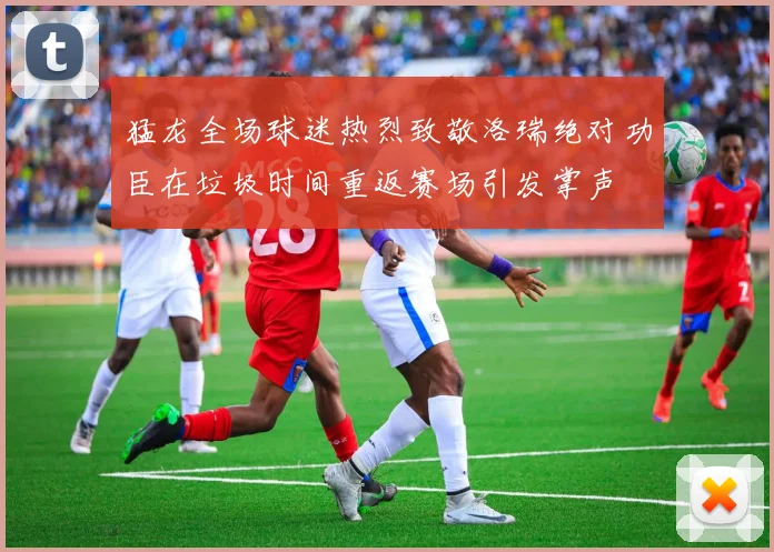 猛龙全场球迷热烈致敬洛瑞绝对功臣在垃圾时间重返赛场引发掌声