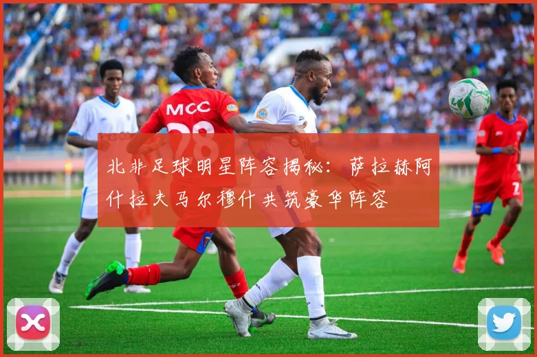 北非足球明星阵容揭秘：萨拉赫阿什拉夫马尔穆什共筑豪华阵容