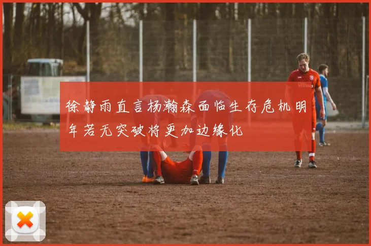 徐静雨直言杨瀚森面临生存危机明年若无突破将更加边缘化