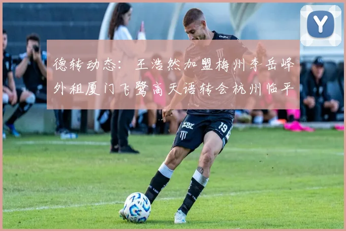德转动态：王浩然加盟梅州李岳峰外租厦门飞鹭高天语转会杭州临平吴越